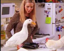 It is strange but true that the actress was afraid of the duck which appeared in 